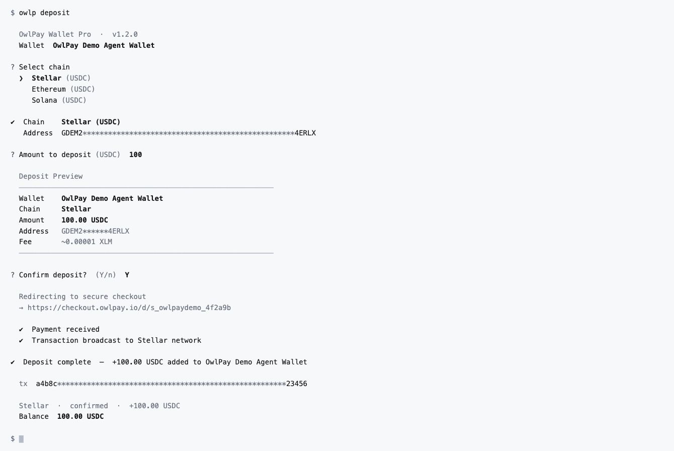owlp-deposit-cli.jpg